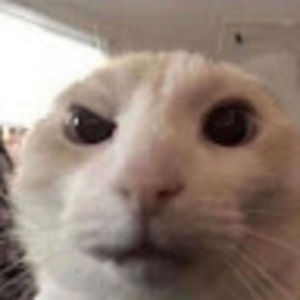 Meet your Posher, Sarahi